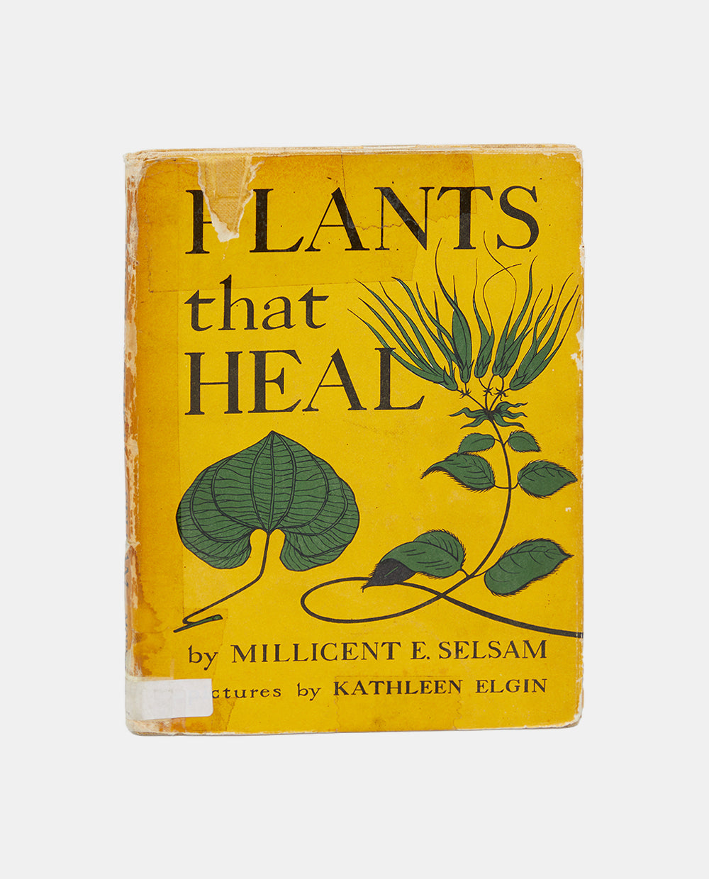 Plants that Heal