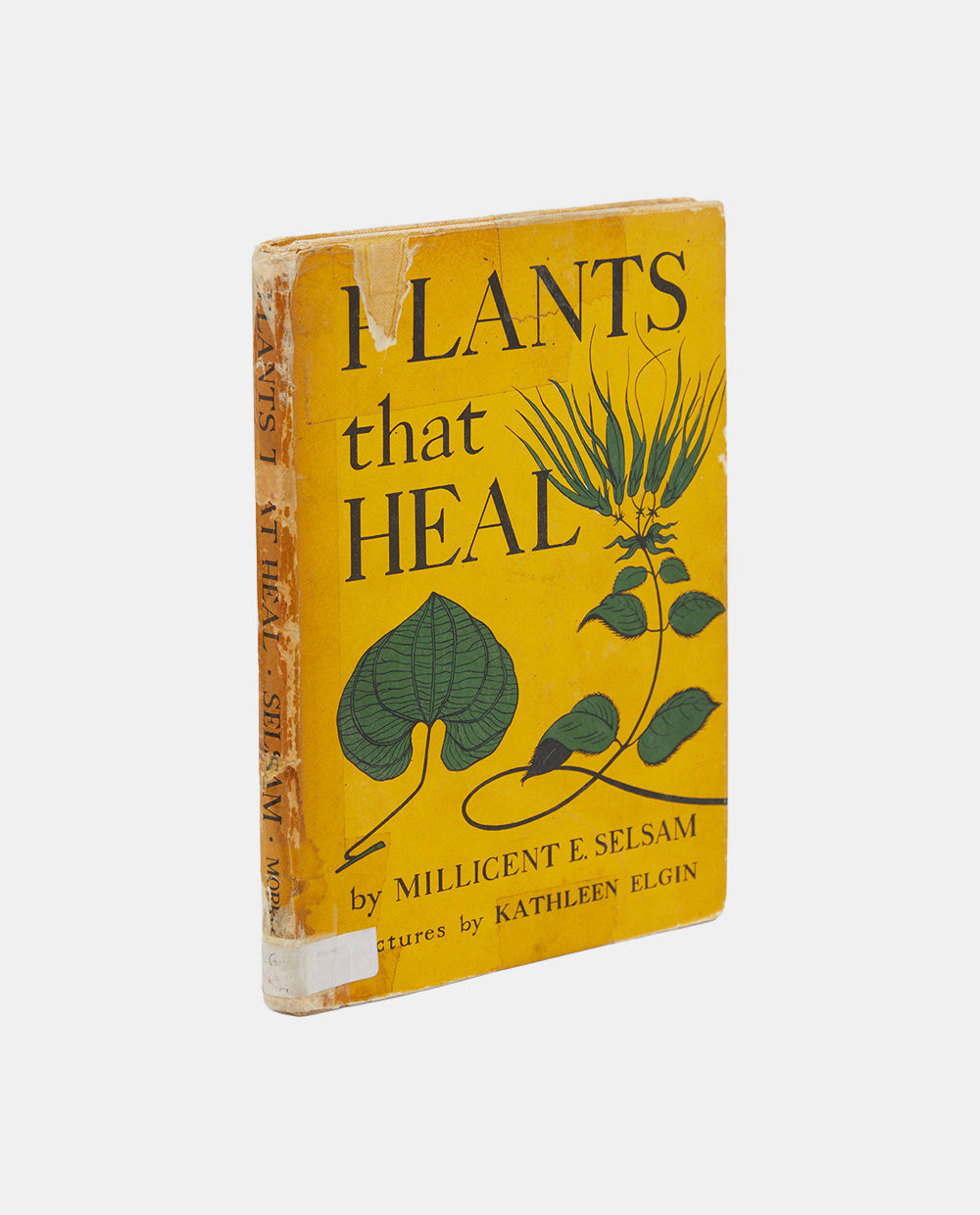 Plants that Heal