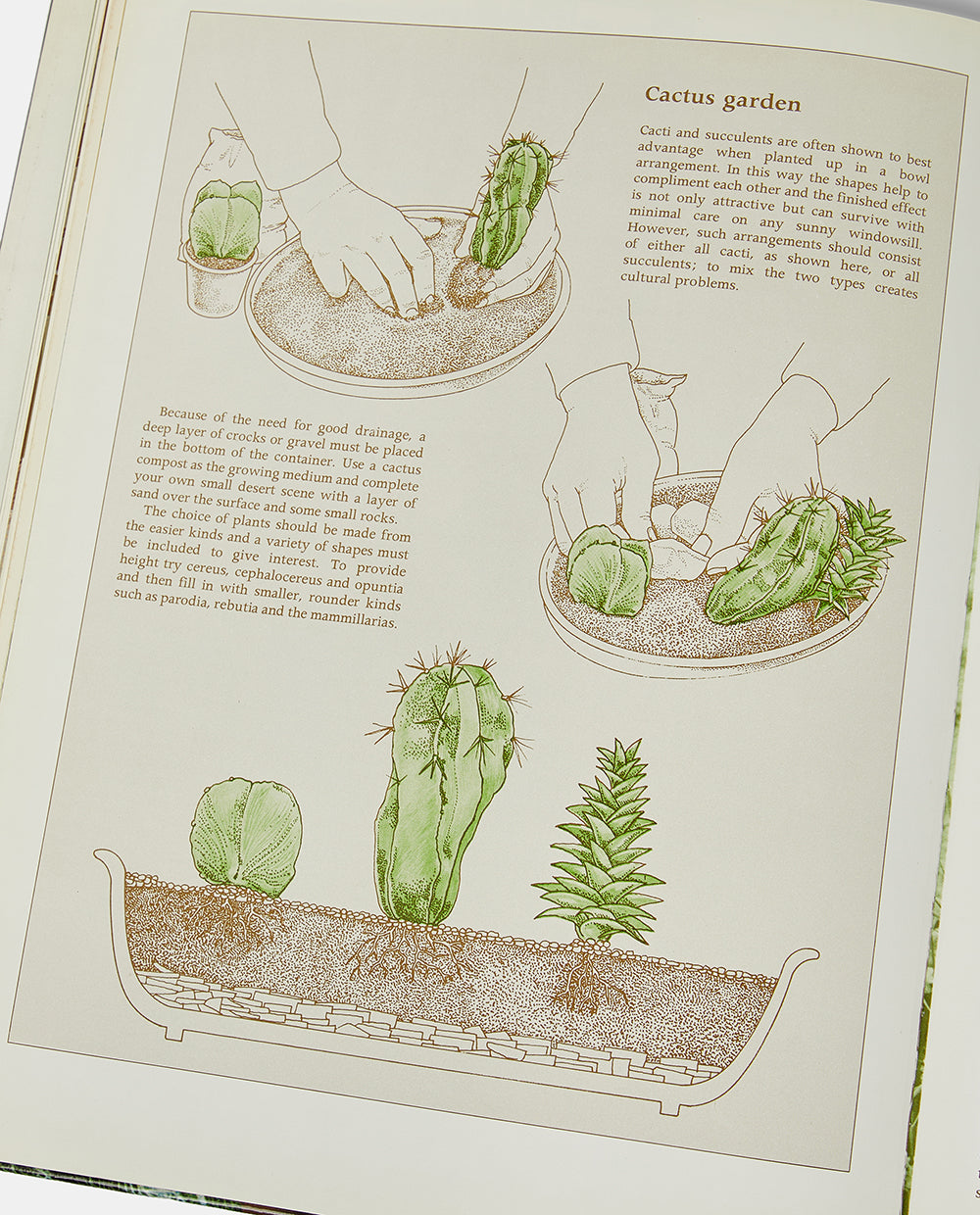 Woman's Own Book of House Plants